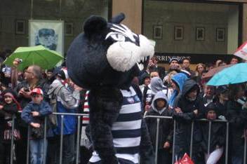 GEELONG'S HALF CAT